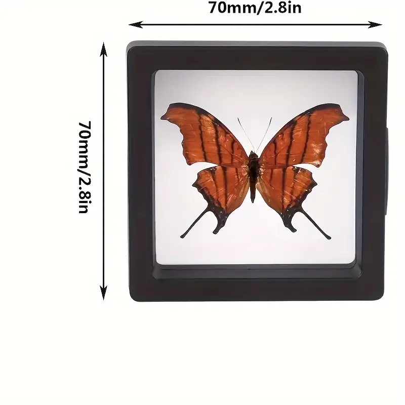 20Pcs Clearview 3D Floating Di - огляд і ціна Jewelry Making Tray